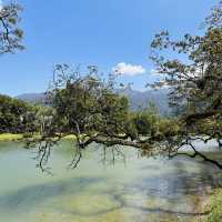 Nature’s Beauty and Timeless Charm: My Day at Taman Tasik Taiping!
