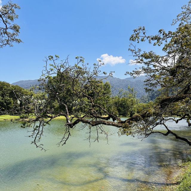 Nature’s Beauty and Timeless Charm: My Day at Taman Tasik Taiping!