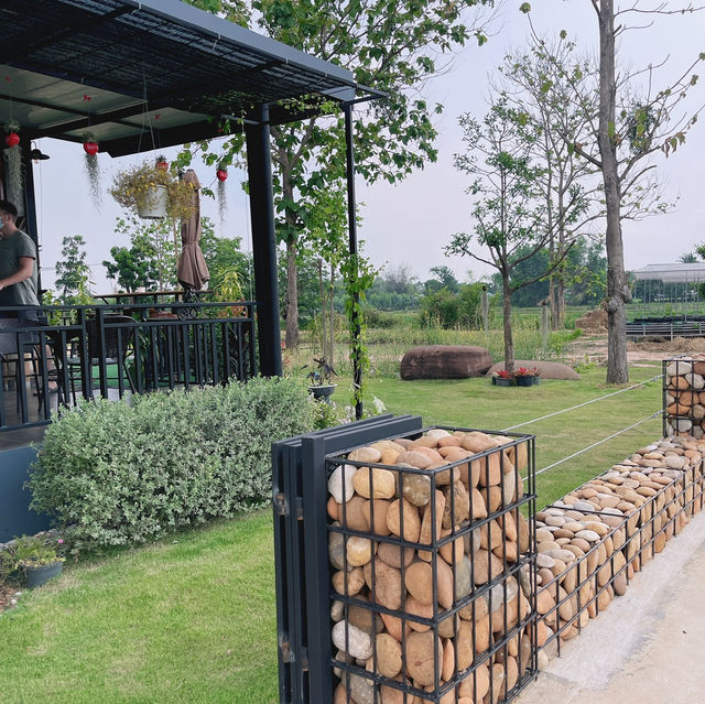 24Cabin Farm & Cafe: คาเฟ่วิวสวนนั่งชมวิวเพลินๆ