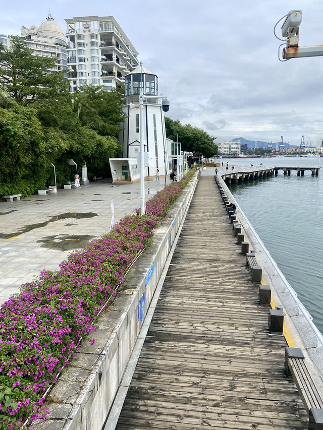 💡🤓📚充滿詩意的燈塔圖書館 💡🤓📚充滿詩意的燈塔圖書館