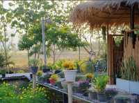 ชิดลม - ชมฝาย คาเฟ่บรรยากาศดีริมทาง