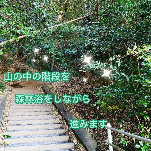 知多半島の城巡り　常滑市　大野城