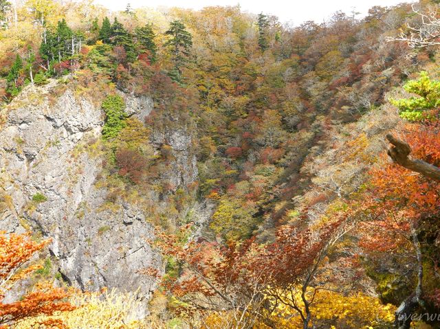 【奈良県】絶叫恐怖の突き出し岩！大台ケ原の大蛇嵓