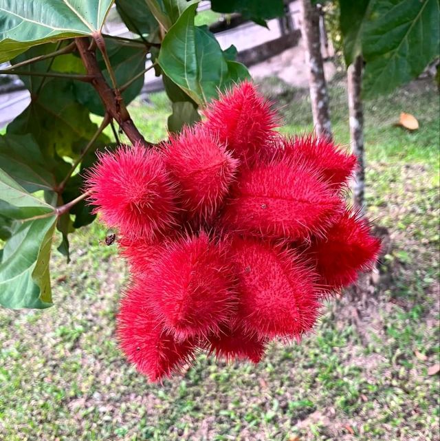 อุทยานแห่งชาติขุนขาน