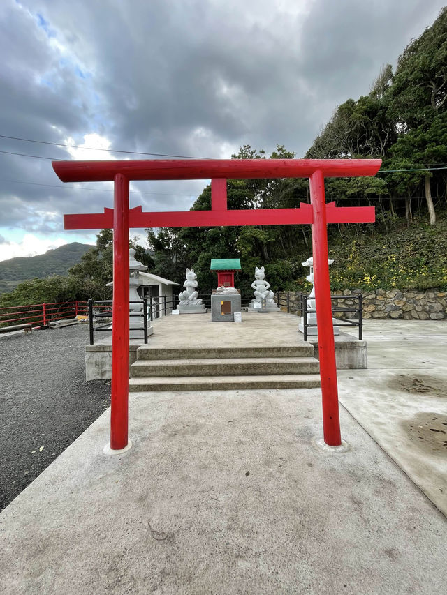 山口観光⛩️山口県屈指のパワースポット⛩️元乃隅神社🦊
