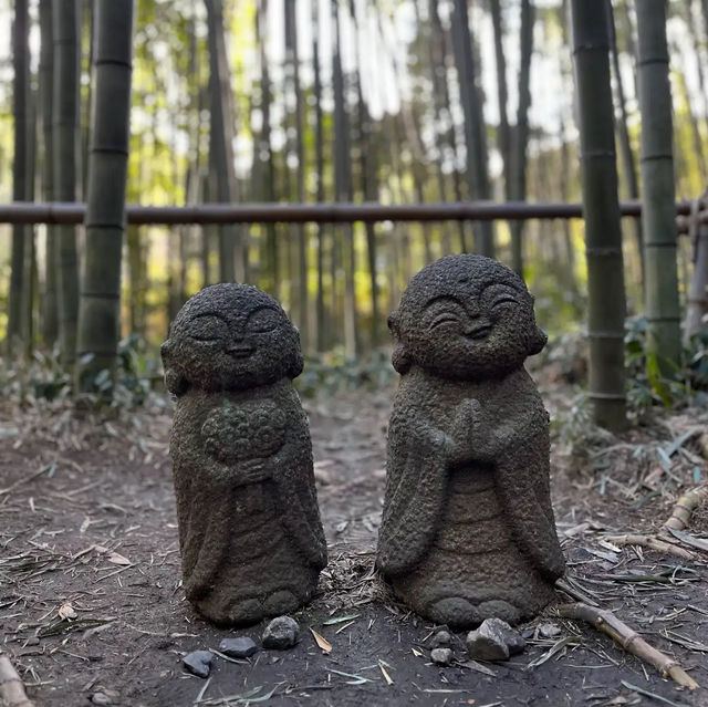 【京都】人気観光スポット！