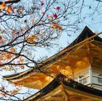วัดคินคะคุจิ(Kinkakuji)