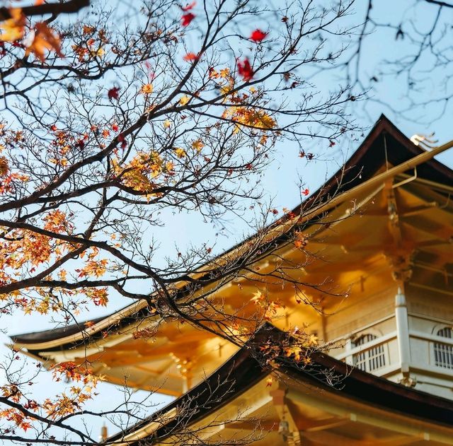 วัดคินคะคุจิ(Kinkakuji)
