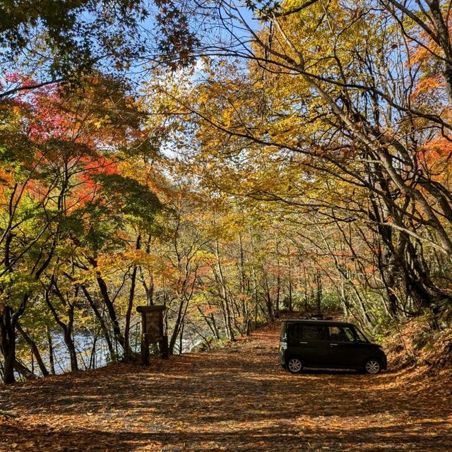 奧入瀨溪流的賞楓秘境：蔦川砂防公園
