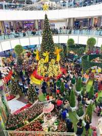 We wish you a Merry Christmas 🌲