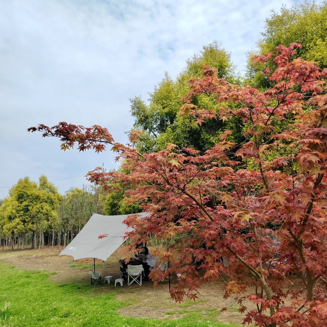 ～雲棲山谷營地～綠野中的“露營大冒險”～