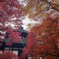 🍁京都楓紅的天花板「東福寺 通天橋」