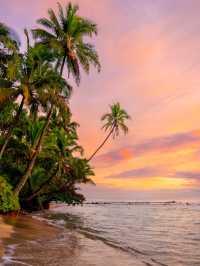 Why You Need to Visit Kauai, Hawaii
