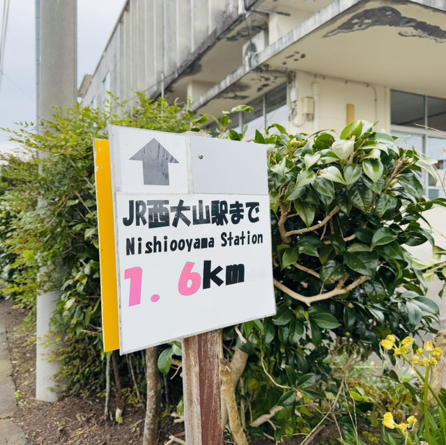 指宿：从长崎鼻去JR最南站打卡