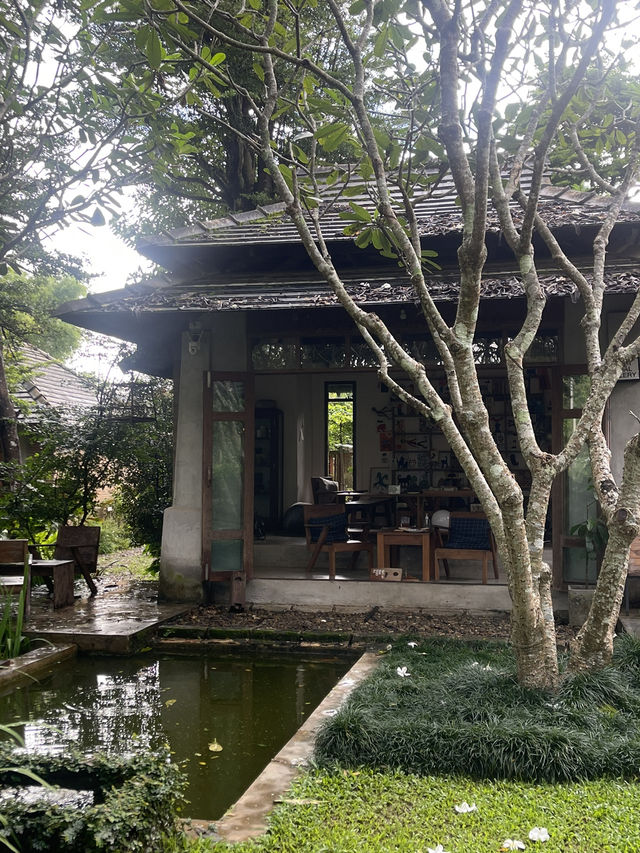 Art Farm Studio 🐢