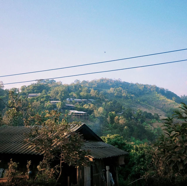 จ่าเล็ก ห้วยกุ๊บกั๊บ โฮมสเตย์ - แม่แตง⛰️✨
