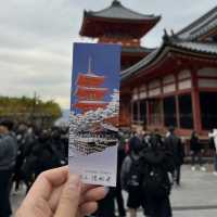 오사카 근교여행지🍁 가을 일본은 단연 교토여행을 빼놓을 수 없어요✨