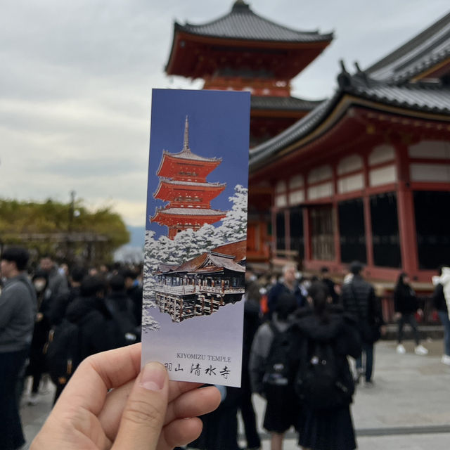 오사카 근교여행지🍁 가을 일본은 단연 교토여행을 빼놓을 수 없어요✨