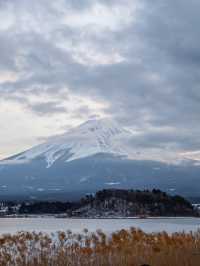 找不到最佳觀賞富士山🗻地點？一定要來這裏！