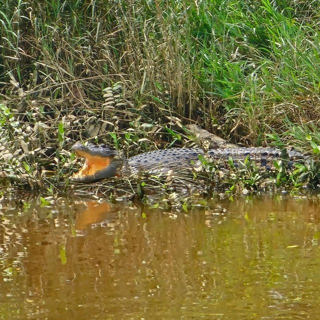 Memorable Trip to Bintulu, Sarawak