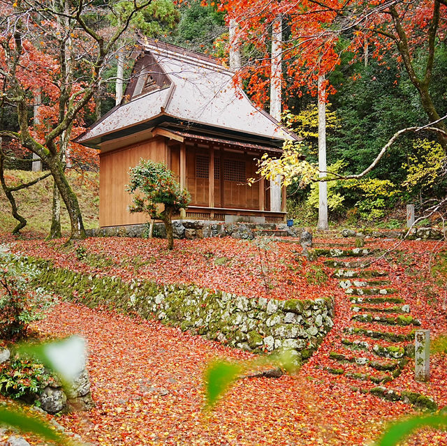 【滋賀県】鶏足寺