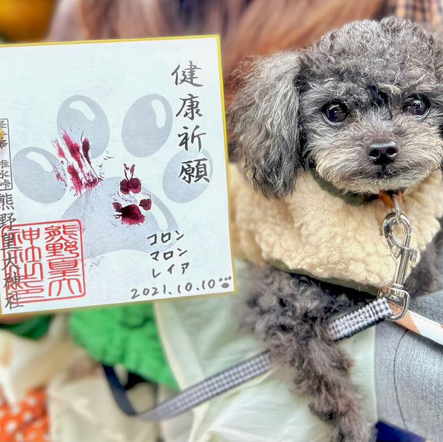 ペットの健康祈願が出来る神社