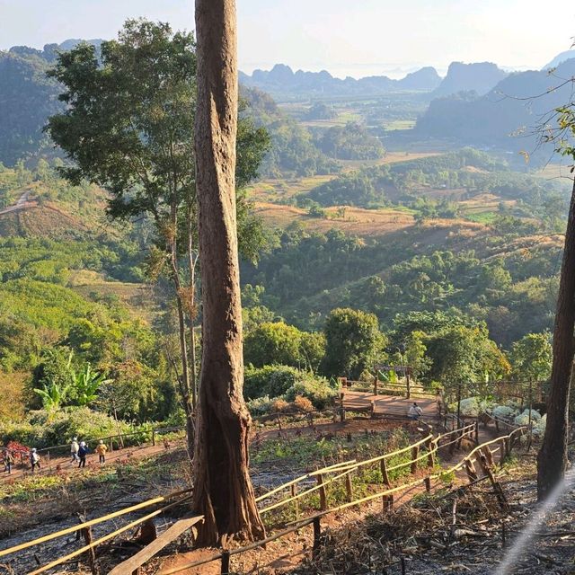 ภูป่าเปาะ ฟูจิเมืองไทย