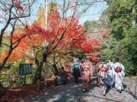 Ryoanji Temple
