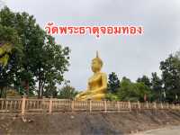 วัดพระธาตุจอมทอง