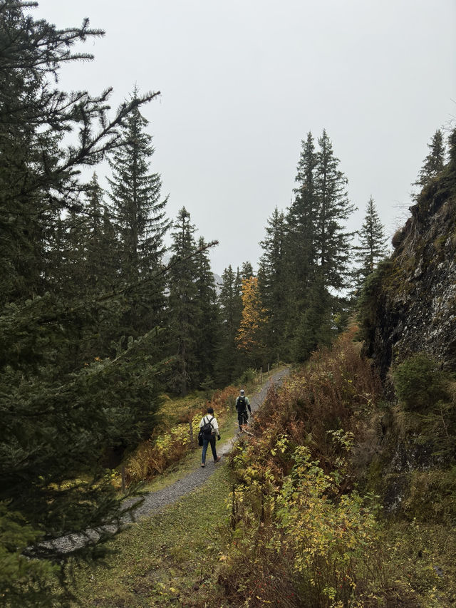 Experience Alpine Bliss: Hiking to Bachalpsee in Grindelwald
