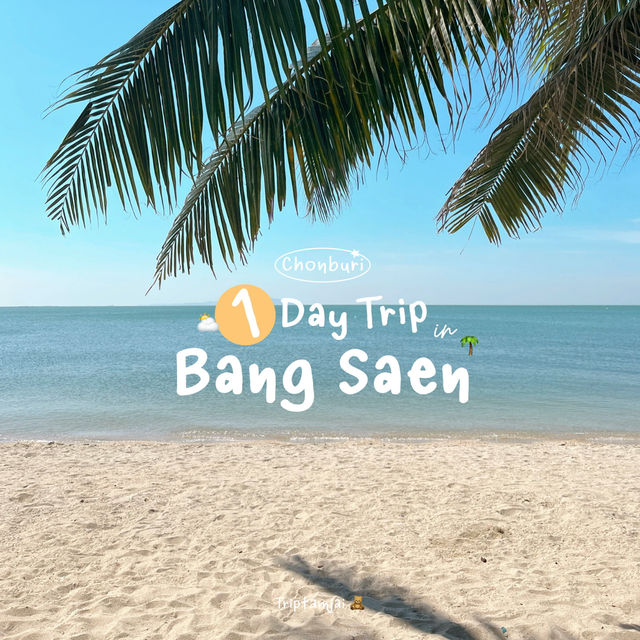 one day trip 🌴 บางแสน 