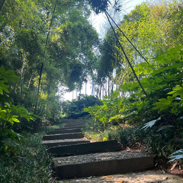 上塔悠公園🛣️城市氧吧🌳🌼