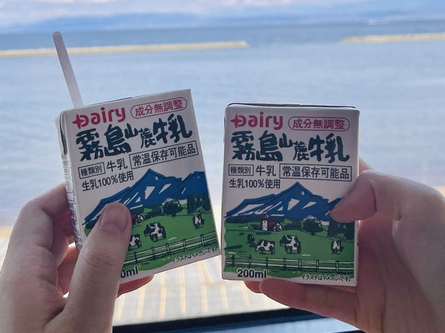【鹿兒島1️⃣日遊：JR「指宿玉手箱」觀光列車 + 指宿沙浴初體驗🏖️ 】（下）