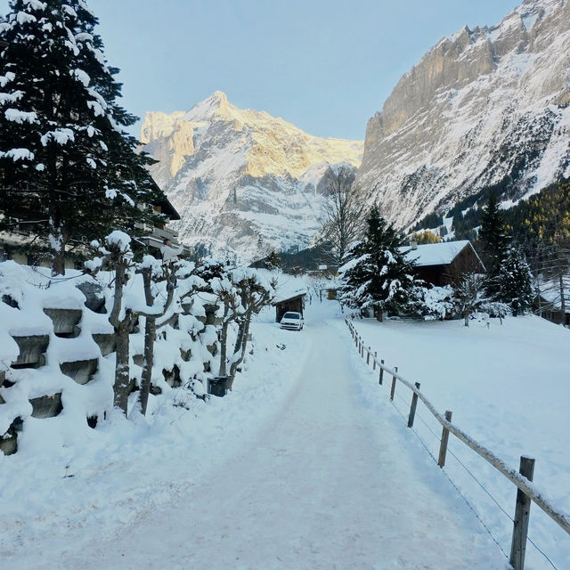 Grindelwald: A Slice of Alpine Paradise