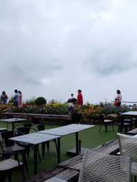 Pino Latte Resort & Cafe เพชรบูรณ์