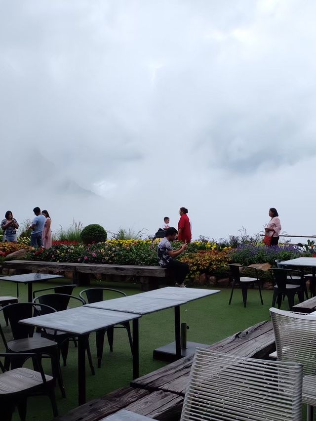 Pino Latte Resort & Cafe เพชรบูรณ์