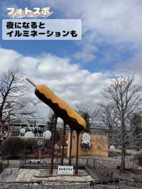 【栃木】大人も子供も楽しめる🤍足湯のある道の駅