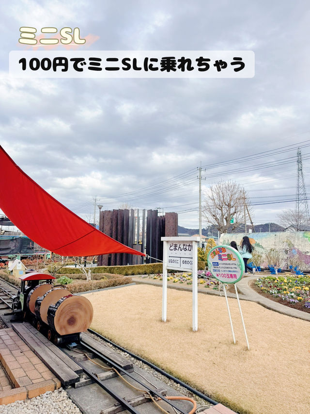 【栃木】大人も子供も楽しめる🤍足湯のある道の駅