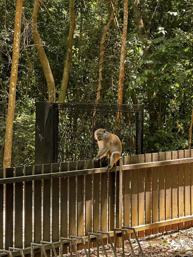 Pulau Ubin: Singapore’s Undiscovered Natural Paradise