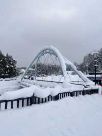 홋카이도 대표 관광지 코발트블루 흰수염폭포 ☃️💙