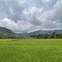 Magnificent view of Lembah Harau, West Sumatera
