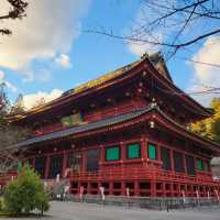 Exploring the Grandeur of Nikko Toshogu Shrine