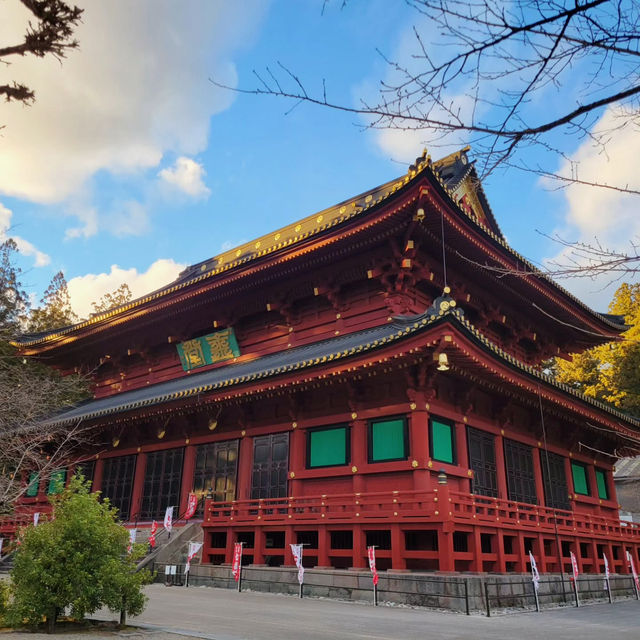 Exploring the Grandeur of Nikko Toshogu Shrine