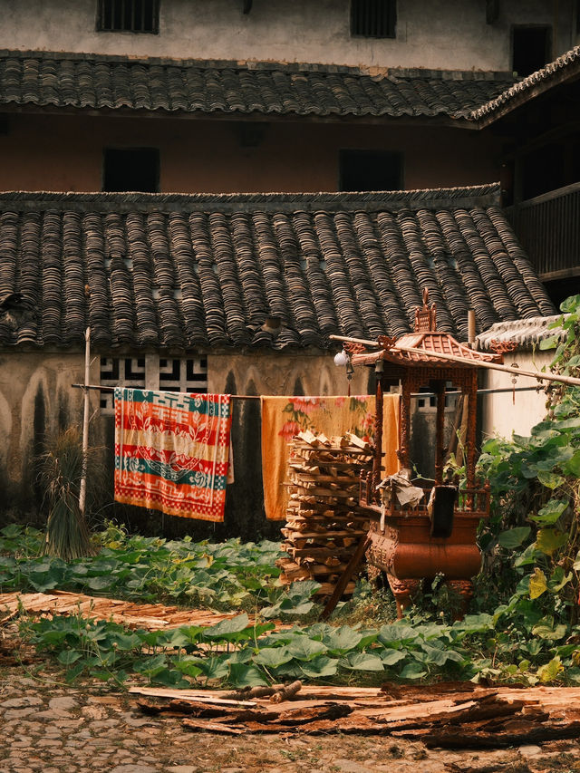 🇨🇳 Timeless Traditions and Tranquil Landscapes: Exploring Longnan County