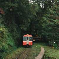 阿里山林業鉄道の旅！