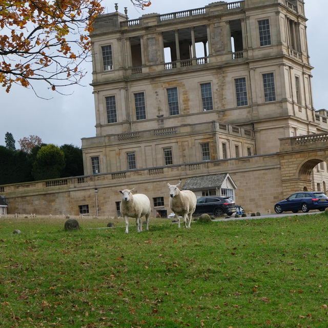 Chatsworth house🍂