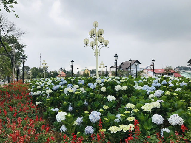 เที่ยวเวียดนามสไตล์ฝรั่งเศส@ดาลัด