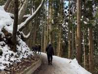 《長野県》地獄谷野猿公苑
