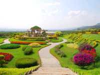 สวนส้มธนาธร สวนท่าตอน เชียงใหม่ สวนใหญ่มากก