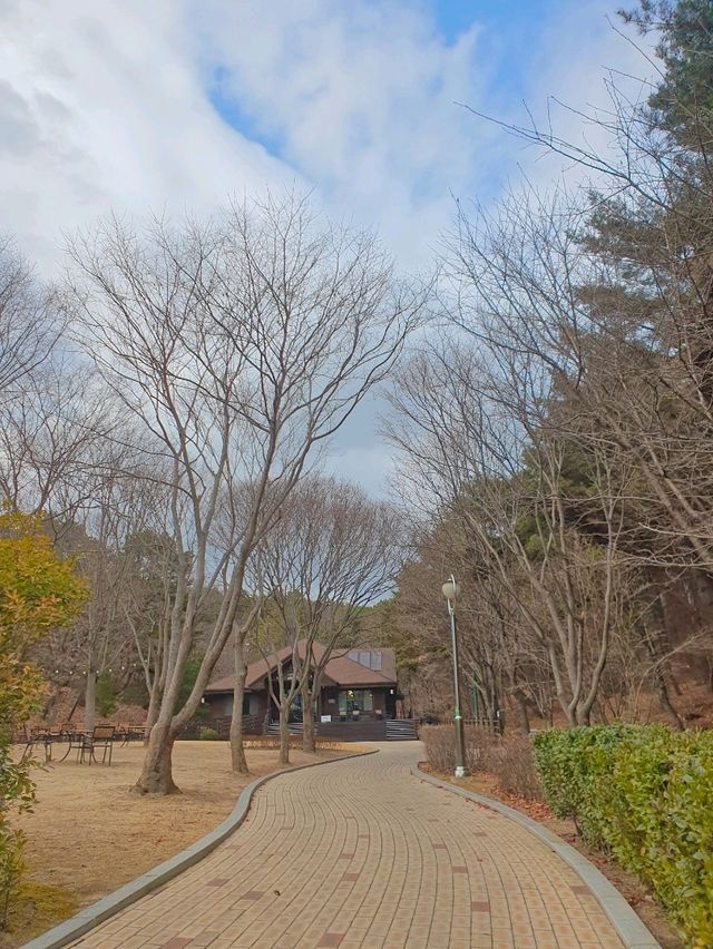 자연 속에서 만나는 감성적인 북카페, 지관서가📚🌿